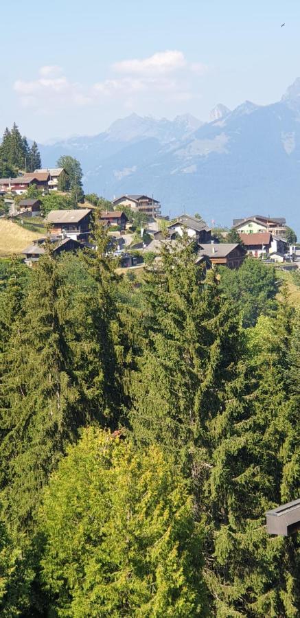 Residence « Les Cretes » Torgon Exterior foto